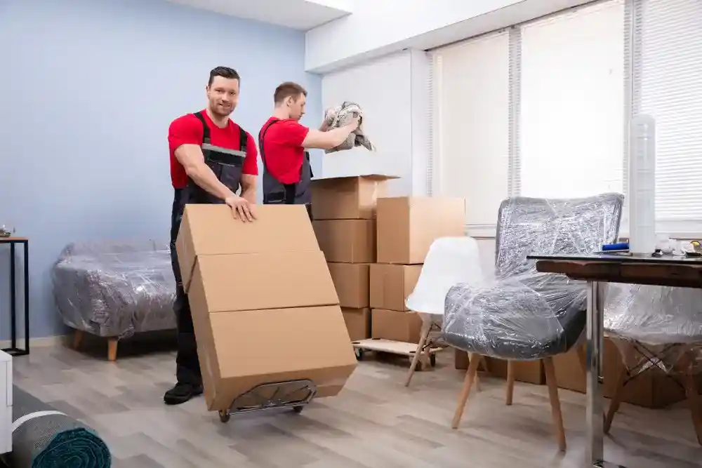 Experienced international moving team organizing items for overseas shipping.